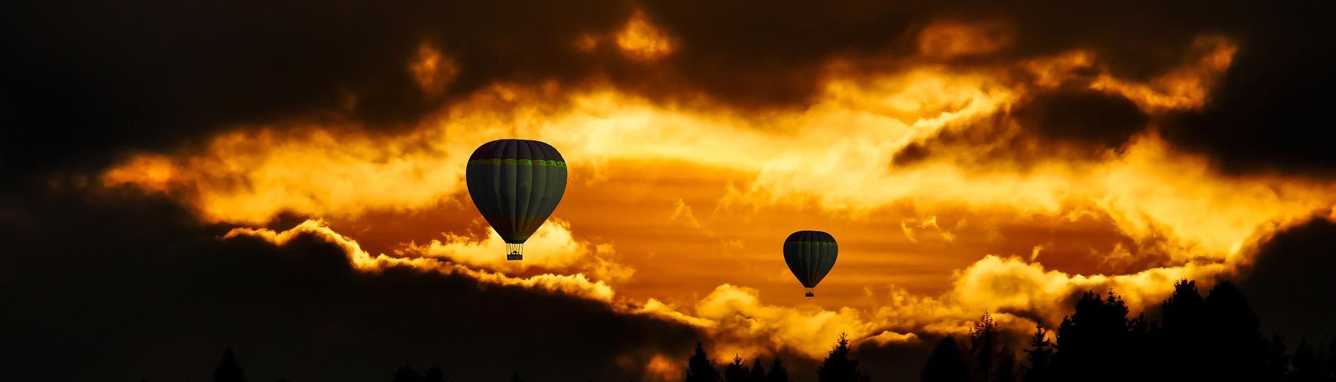 服務(wù)內(nèi)容